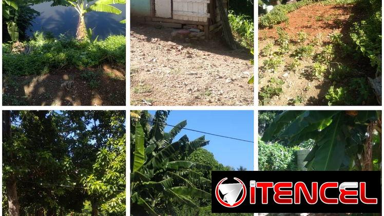#Terreno & Árboles Frutales 0.10hta.