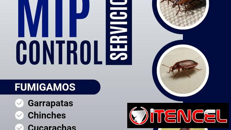 Fumigación y Control De Plagas PlagaKØ