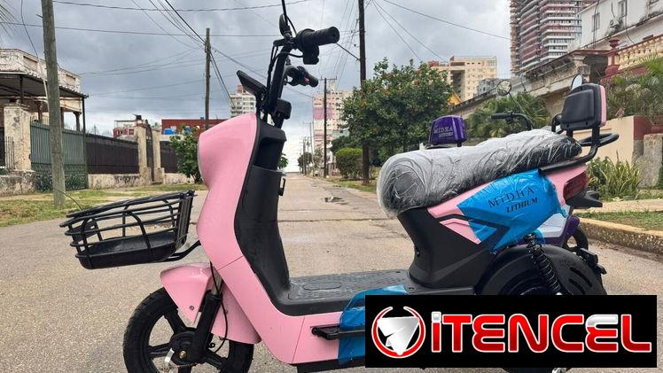 MOTICO MIDHA