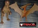 🔴 Juego de 4 Dinosaurios 🦖
