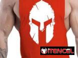 ®®®Next-Phase®®®CAMISETAS SPARTAN GYM ABIERTAS PARA TRABAJAR MEJOR EL DORSAL® >>>+1-346-580-18-97 / 53437216