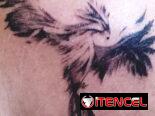 Tatuajes/Tattoos/Tatuador