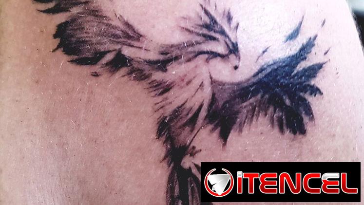 Tatuajes/Tattoos/Tatuador