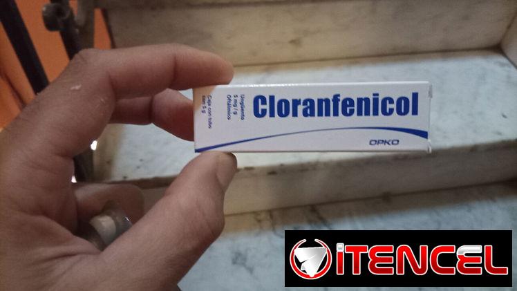 Cloranfenicol en ungüento oftalmico