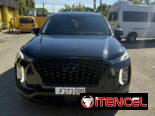 Vendo negocios, Hyundai Palisade, 2020 básico