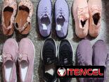 Calzado Femenino. Zapatillas.