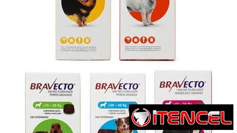 Bravecto de larga duración