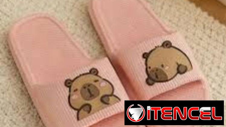 Chancletas engomadas