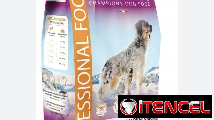 Pienso para perros de actividad física intensa