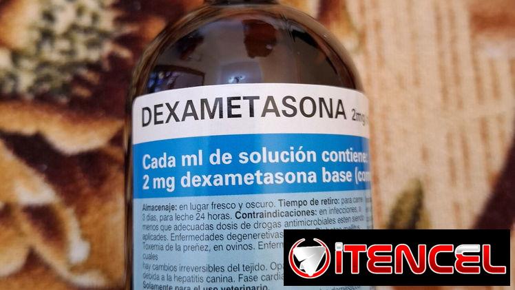 Dexametasona en inyección.