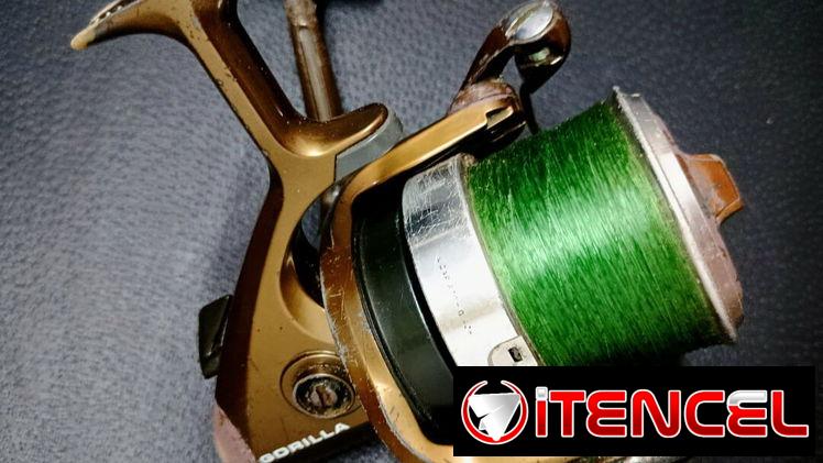 Carretes de Pesca Marcas Profesionales (Reels 🎣🦈)