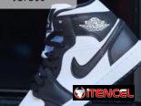 Air Max, Dunk Low, Jordan 1 Mid, SB DUNK
