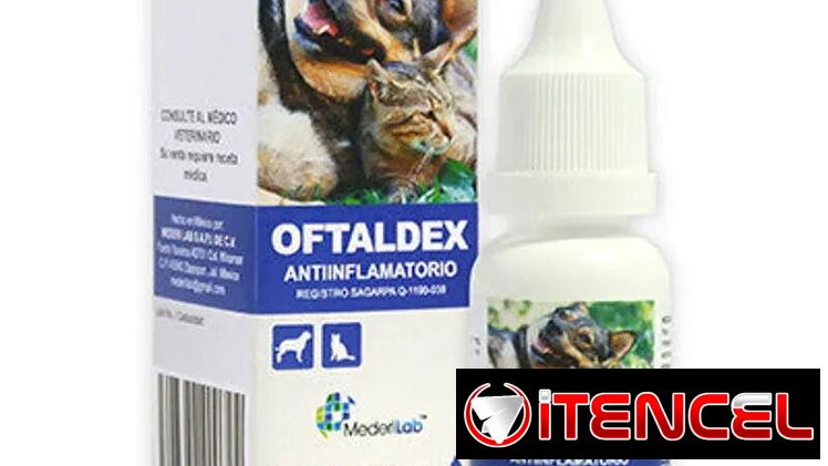 Oftaldex solución oftalmica