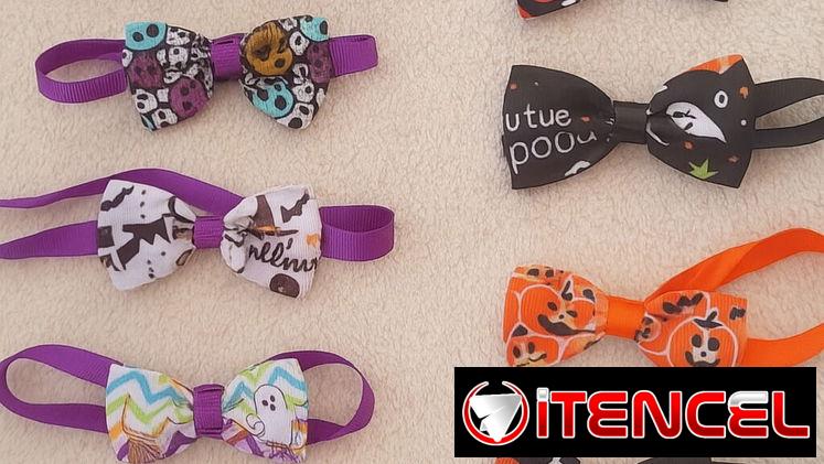 Accesorios y Ropitas de Halloween para Mascotas!!!