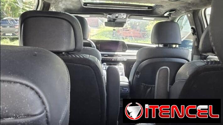 Hyunday Palisade caligraphe 2024 al detalle