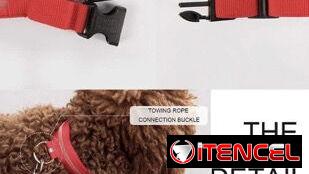 COLLAR CORREA PARA PERRO CON LUZ LED SEGURIDAD PARA PASEO NOCTURNO.