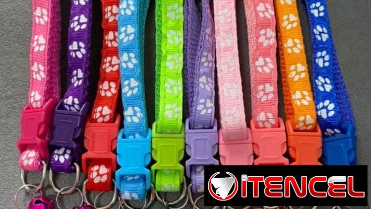 Collares con cascabel para mascotas