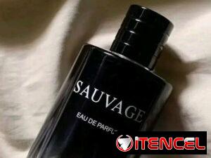 e3f382c66c0b6a30ed3b9f0fdce6ee1172de1ef958fc4df58dde1cc797637939