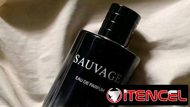 Perfume de hombre Sauvage 100ml sellado en caja precio 15 Usd