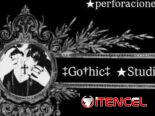 Perforaciones y Piercings