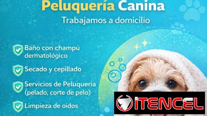 veterinaria a domicilio