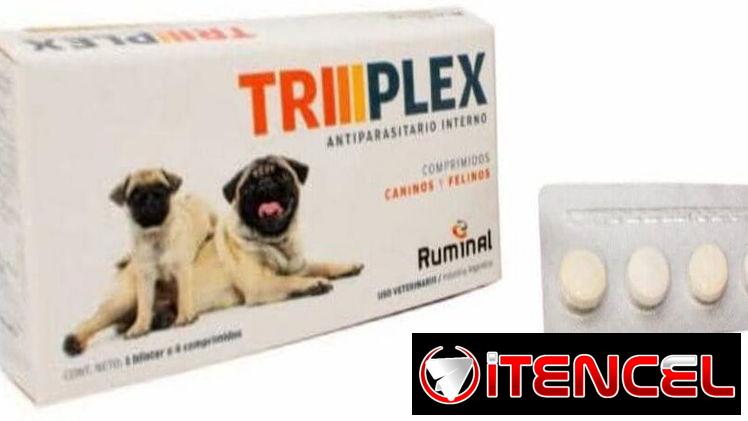 Triplex para Mascotas