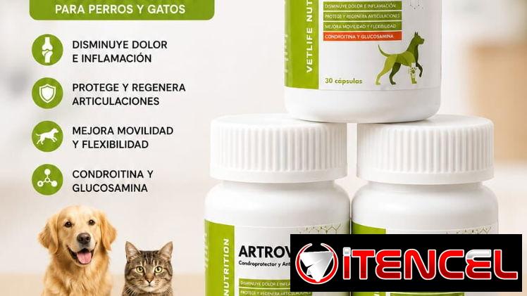Artrovet (Glucosamina con Condoitrina, omegas y Multivitaminas)