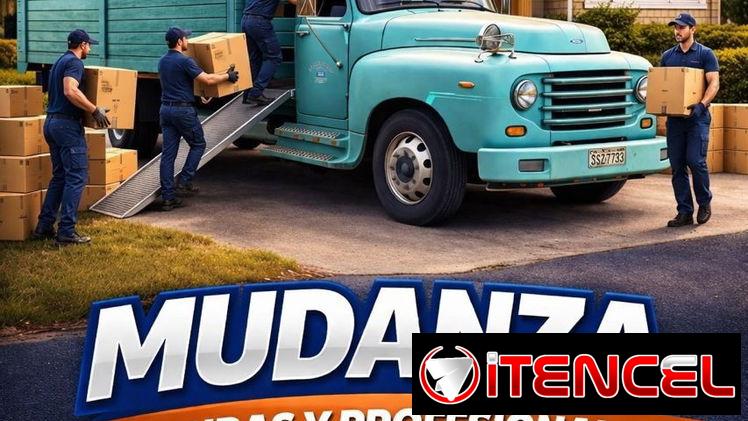 Mudanzas y cargas