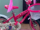 Bicicletas para niñas y niños. Medida 12