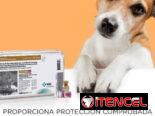 Pentavalentes Americanas