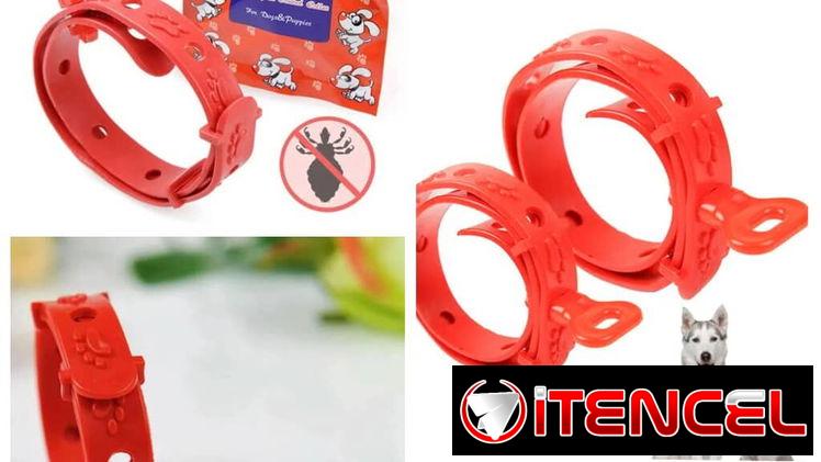 COLLARES ANTIPULGAS GRADUABLES PARA PERROS Y GATOS