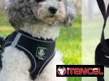 Arreo con pechera