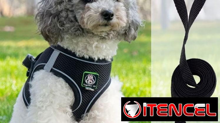 Arreo con pechera