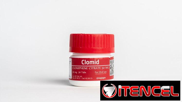 Novaldex – Tamoxifeno – Clomifeno – Cardo Mariano – Pregnyl de Schering-Plough