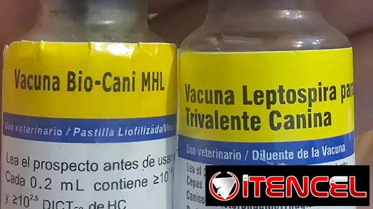 VACUNA TRIVALENTE CANINA (TRIVAC)