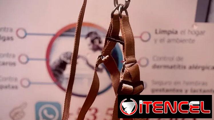 Pecheras para todas las razas y tamaños