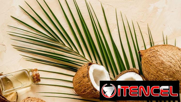 🥥 Aceite de Coco 100% Natural… salud, hidratación y belleza ✨✅