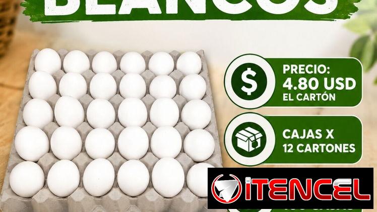 Venta de huevos blancos por cantidad