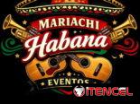 Si Buscas un Maríachi. Con Ofertas de Regalos y otras Sorpresas..
