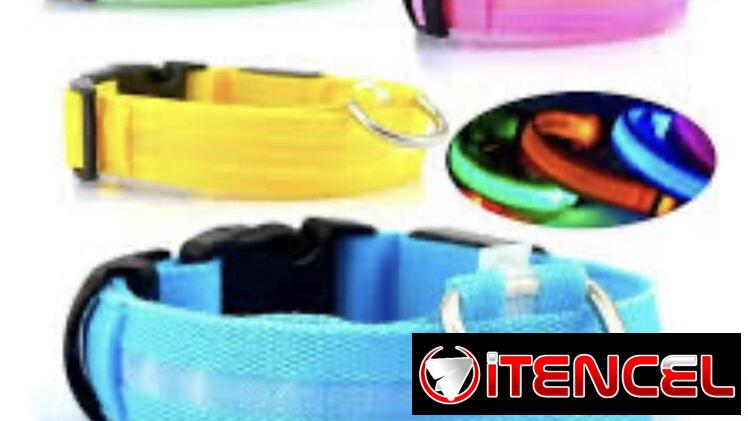 Collares Luminosos Led para perros, con bateria. Nuevos