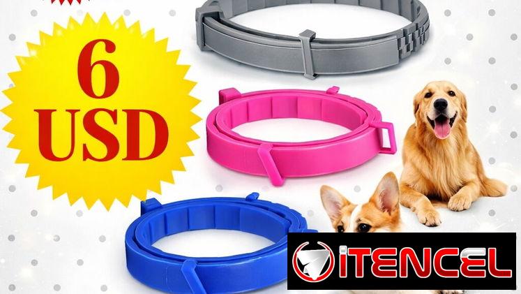Accesorios para mascotas