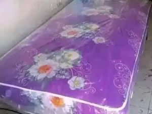 e73101f3869e6db889407b9769693f0006c436da58c305657c7c7ca16d852cbe