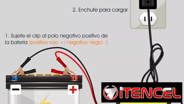 Cargador Inteligente 12V 2A