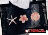 Paredos  y carteras