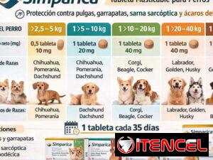 e748b4729a5b2ba541482da08f8f45781e507472454bc56f4b99720aa468be78