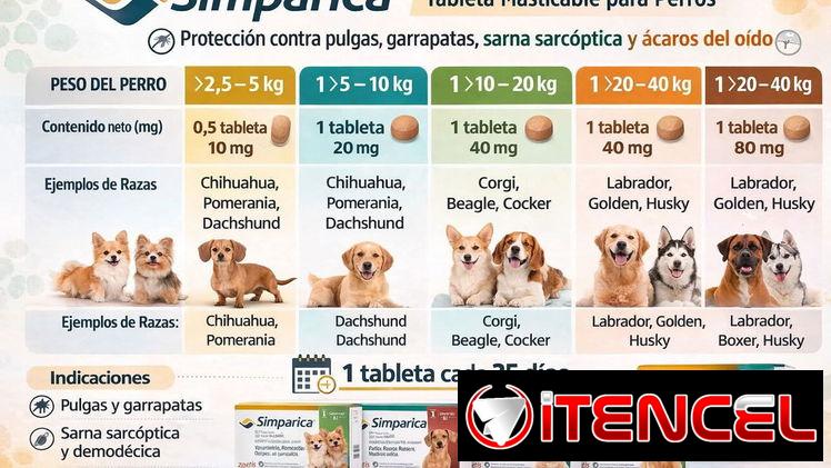 Simparica para todos los pesos