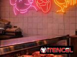 Se Realizan Carteles Neón Flex lumínicos