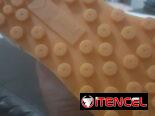 Tenis y tacos originales