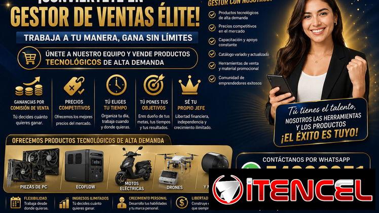 Gestores de Venta
