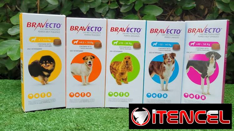 Bravecto- antiparasitario externo para perros